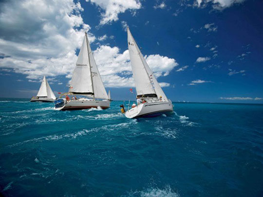regata_2.jpg