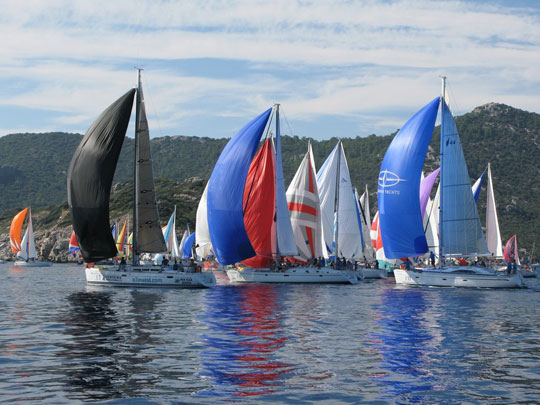 regata_3.jpg